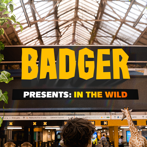 Badger In The Wild Tour